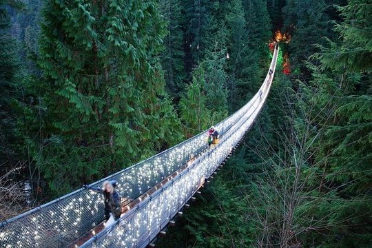 Explore Vancouver City & Capilano Suspension Bridge Canyon Lights
