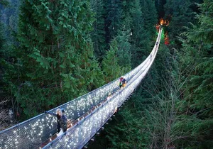 Explore Vancouver City & Capilano Suspension Bridge Canyon Lights
