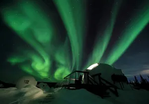 Electric Moose Studios Aurora Adventure W/Portraits & Hot Pizza!!