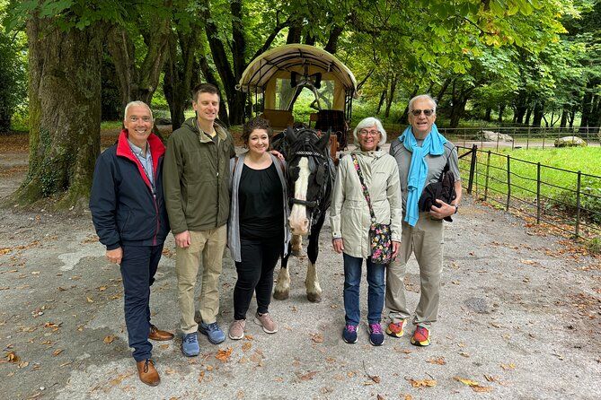 Private Tour Killarney National Park & Ladies View, 7 Guests Max