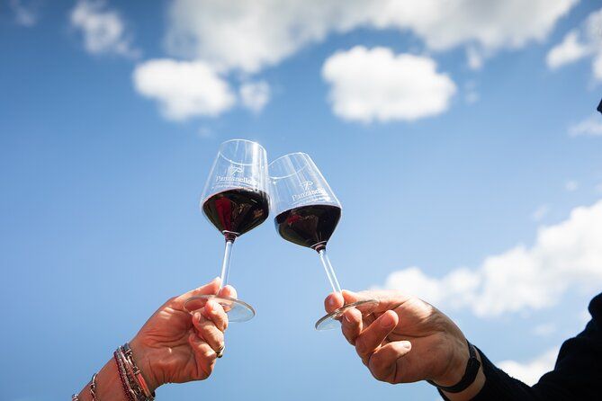 Triumph of Flavors, Winery Tour, Organic Wines in Panzano in Chianti