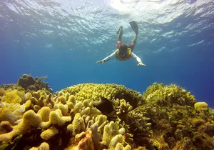 Combo 2 Caribbean Islands: Isla Mujeres, Cozumel with snorkel