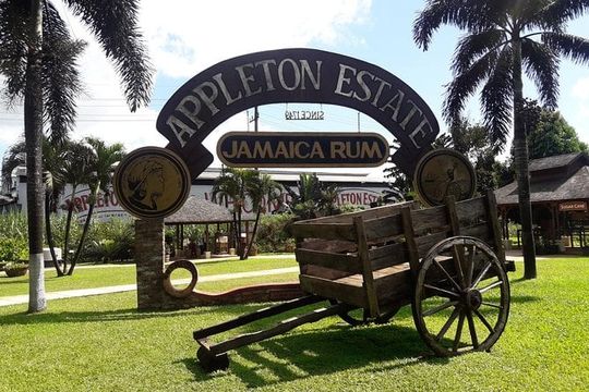 Private Appleton Estate Rum and Pelican Bar Tour from Montego Bay