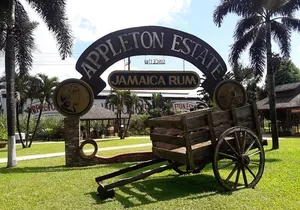 Private Appleton Estate Rum and Pelican Bar Tour from Montego Bay