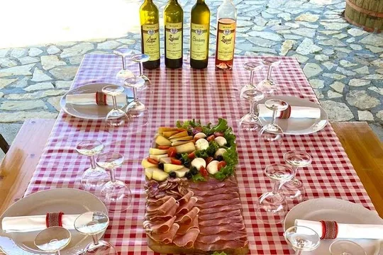PRIVATE Wine Tour to Konavle country side