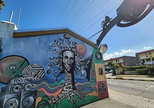 Kingston City Day Experience