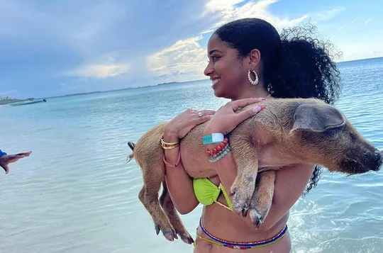 Rose Island Swimming with the Pigs Lunch and Private Beach