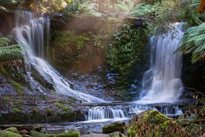 Mount Field, Waterfalls and Tasting Trail