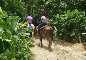 Horseback 'Ride N Swim' & Dunns River Falls from Montego Bay