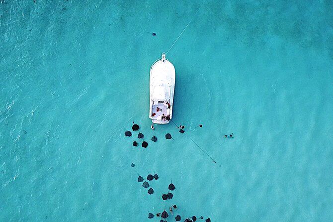 Private Charter 34ft Express Cruiser Stingay City Reef Snorkeling