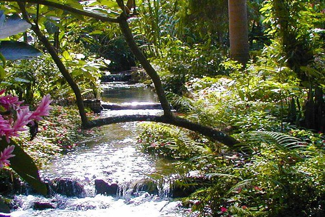 Private Tour From Ocho Rios To Konoko Falls And Garden and Shopping