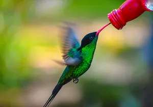 Rockland Bird Sanctuary Private Tour