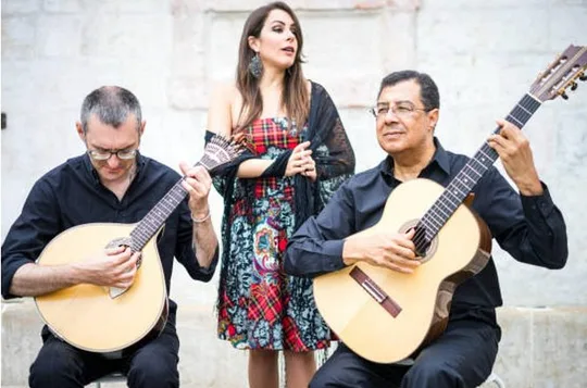 Fado Half Day Guided Tour with Dinner and Live Show in Lisbon