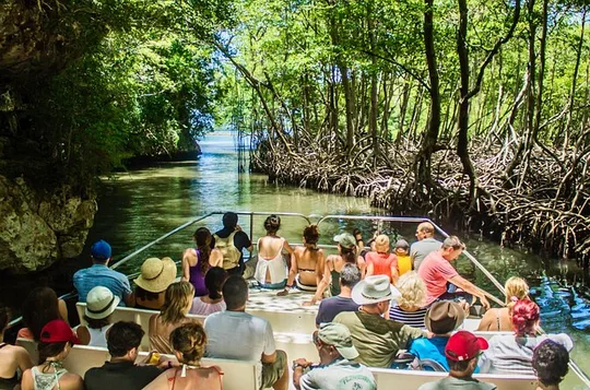 Punta Cana : Parc Los Haitises, Montana, Rancho Salto Yanigua