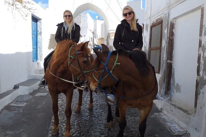 Santorini: Megalochori Horseback Riding Tour with Guide