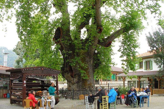 Marmaris Village Tour with Waterfalls & Visit Jesus Beach