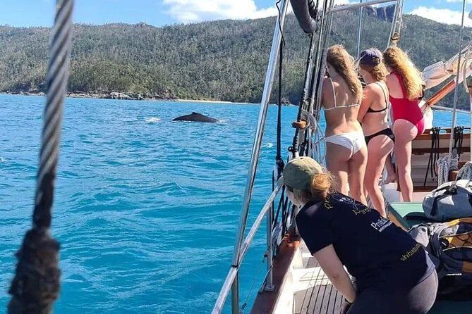 Providence Whitehaven Beach Sailing and Snorkeling Cruise