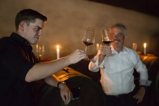Wine Tasting in the Winery in Kröv