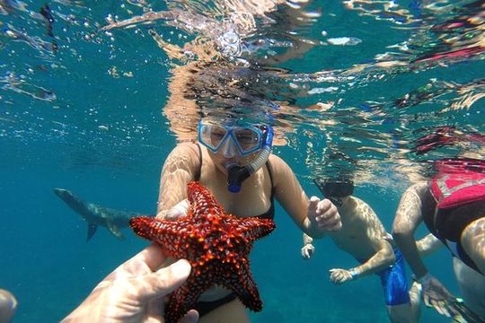 Snorkeling Discovery sailing in Los Cabos