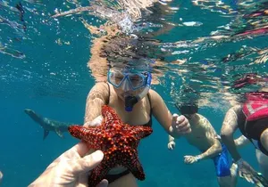 Snorkeling Discovery sailing in Los Cabos