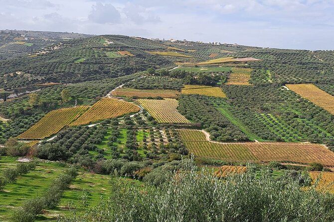 Wine Raki Olive Oil Tasting and Pottery - Private Tour