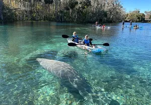 Silver Springs Self Guided Clear Kayak Rentals