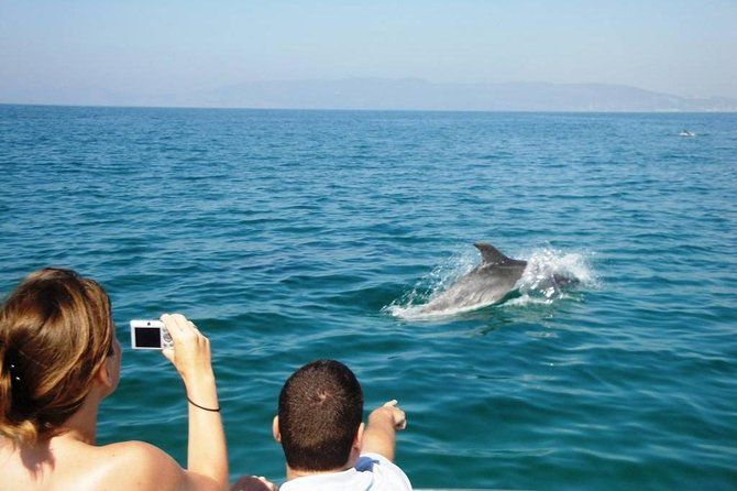 Dolphin Watching + 2 Islands Tour - From Faro