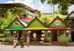 Bob Marley Nine Mile and Dunn's River Falls Tour From Montego Bay