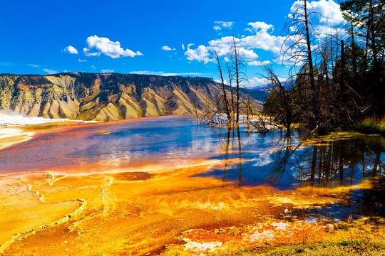 SF to Yellowstone,Grand Teton,Antelope Canyon&Vegas 7-Day Tour