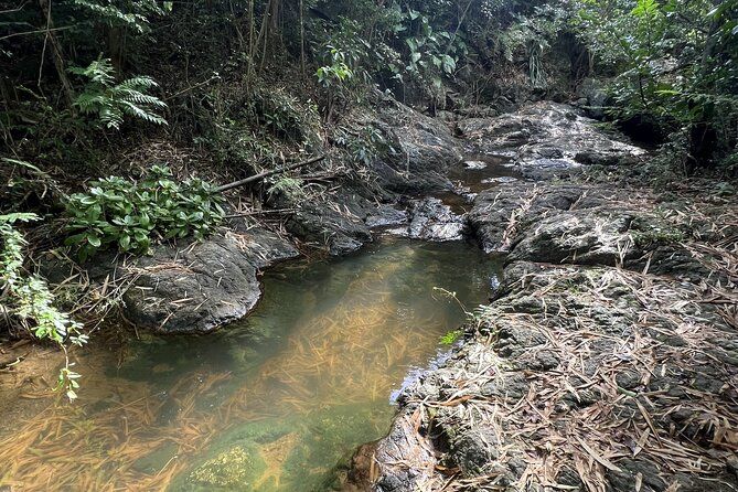 Mount Healthy National Park Private Hike Tour in Tortola