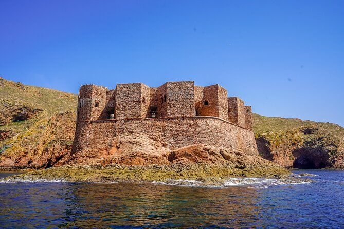 Berlengas Island Private Day Trip from Lisbon