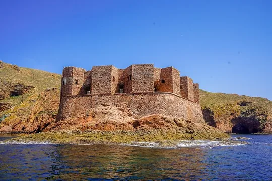 Berlengas Island Private Day Trip from Lisbon