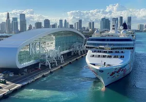 Miami Private Transfers: Airport, Cruise, Point-to-Point.