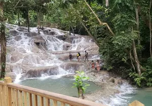Sightseeing Tour with a Local Native Guide