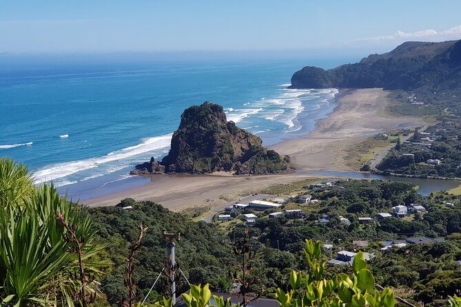 Piha Waitakere Rainforest Wine Tour from Auckland