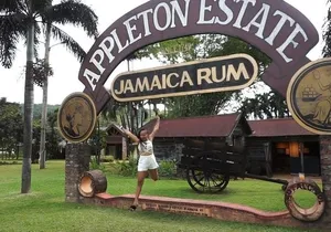 Appleton Estate Rum & Ys Falls private Transportation