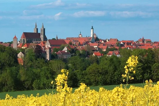 Minibus-Tour von Frankfurt (Main) to Rothenburg (Tauber)