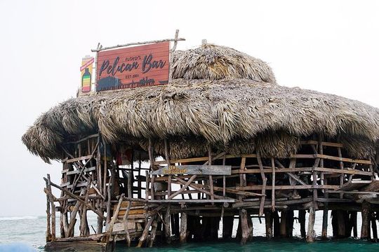 Private Adventure to YS Falls