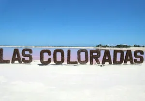 Ría Lagartos Biosphere Reserve & Las Coloradas Adventure