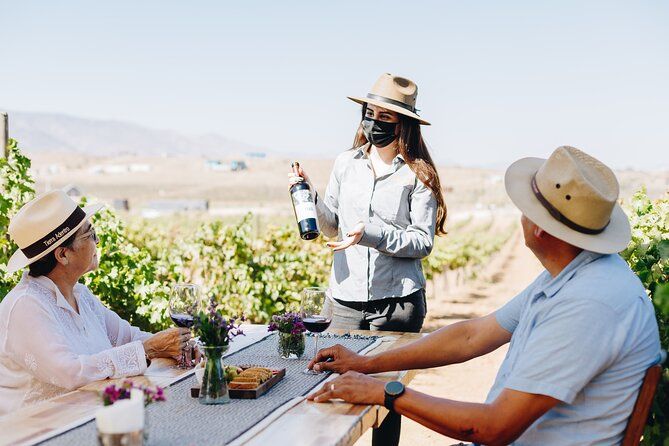 Wine Tasting Among Vineyards with Panoramic Views of the Valley