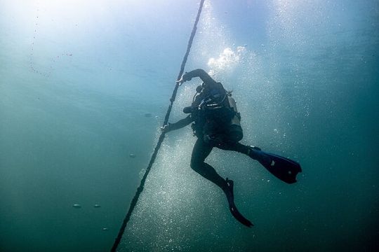 2 Tank Dive Trip from Cabo to La Paz