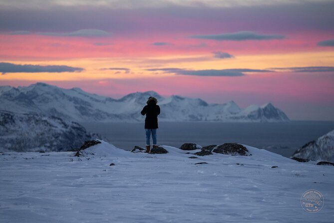 Small Group Arctic Fjords Road trip with Scenic Picnic