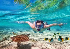 Tulum Ruins and Turtles Express