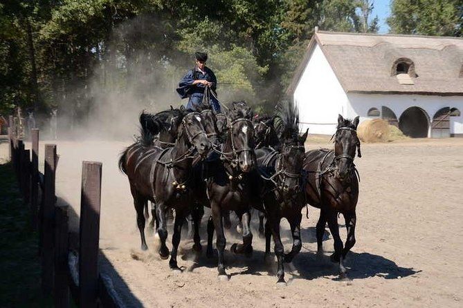 Horseshow on the Hungarian Puszta, private tour from Budapest with entry!