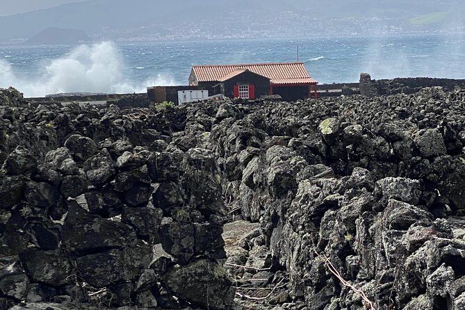 500 years of wine on Pico Island in half a day of flavors