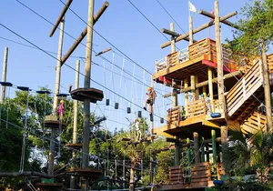 Cocoa Beach Aerial Adventures ticket