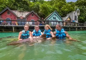 Private Excursion to Mystic Mountain and Dolphin Cove
