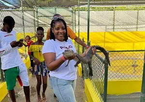 Appleton Rum Estate, Black River Safari & Pelican Bar Private tou