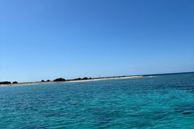 Puerto Rico: Bio Bay Swim and Sunset Charter or Late night tour