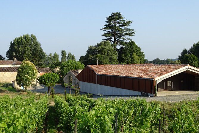 Discovery visit of Château Rol Valentin with tasting